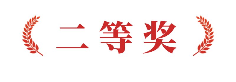 303126138@qq.com ┊